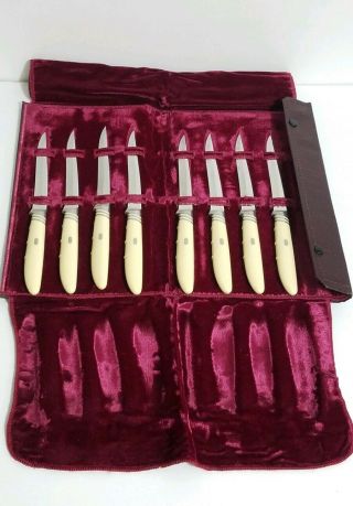 Clyde 1850 Stainless Steel Vintage Steak Knife Set Of 8 W/ Case Box