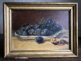 Antique French Gilt Framed Oil On Canvas - Still Life Plums C1900.  Signed