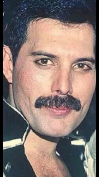Freddie Mercury Queen Handsome Vintage Glossy 8 X 11 Concert Photo Print