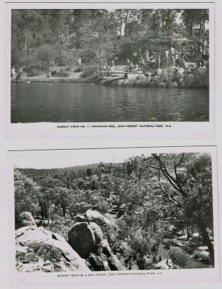 2 X Vintage Real Photo Postcards John Forrest National Park Wa C1950s