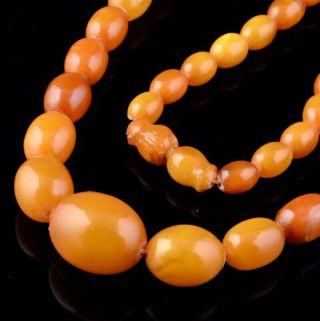 FINE CHINESE NATURAL EGG YOLK & BUTTERSCOTCH AMBER GRADUATED BEAD NECKLACE 2