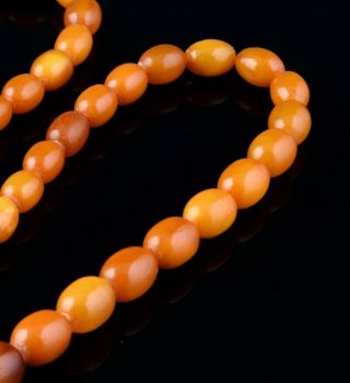 FINE CHINESE NATURAL EGG YOLK & BUTTERSCOTCH AMBER GRADUATED BEAD NECKLACE 3