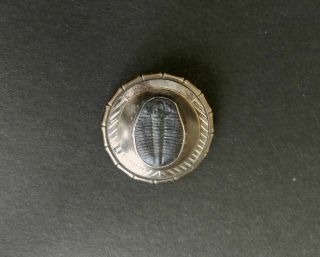 Vintage Tabra Fossil Hand Signed Pin Brooch Belt Treasure Silver & Bronze Metal