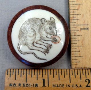 Mouse Scrimshaw On Bovine Bone Vintage Button,  Wood Back,  Chinese Zodiac,  Large