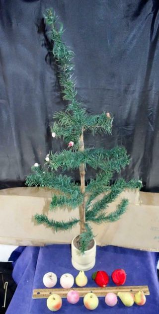 Antique Green 26 " German Goose Feather Christmas Tree W/ Fruit Germany