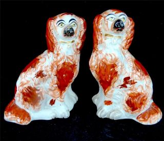 Pair Antique Victorian Staffordshire Pottery Russet Red Spaniel Dogs