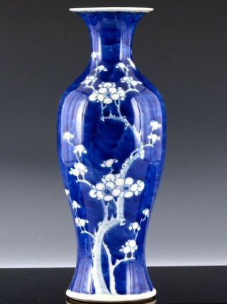 Large 19thc Chinese Blue White Prunus Tree Landscape Porcelain Vase