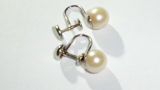 Vintage 14k White Gold & 8 Mm Pearl Screw Back Earrings Scrap/wear,  2.  54 Grams