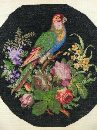Vintage Completed Finished Petite Point Embroidery Parrot Flowers Roses Floral 2