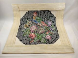 Vintage Completed Finished Petite Point Embroidery Parrot Flowers Roses Floral 3