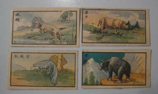 Old China Chinese Cigarette Tobacco 4 Cards - Animals Bear,  Rhino,  Ant Eater (z1 - 10)
