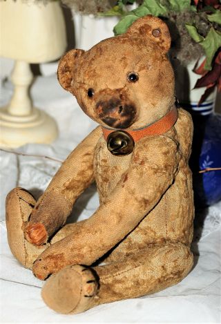 Rare Early 1900 Sweet Steiff Teddy Bear With His Pre War Button 12 " Tall