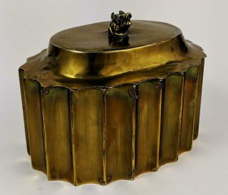 Victorian Brass Dog Head Tea Caddy 19th Century A/f
