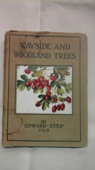 Wayside And Woodland Trees - A Pocket Guide To The British Sylva By Edward Step