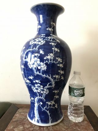 A Large Antique Chinese Blue & White Porcelain Vase W/ Plum Blossom 44.  8 Cm
