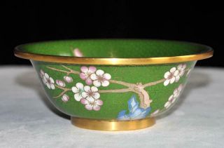 Stunning Vintage Jingfa Cloisonne Bowl 7 " Diameter Green Ground Cherry Blossoms