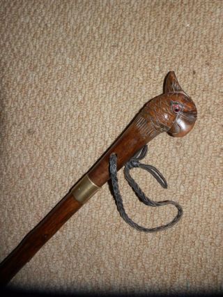 Antique " Brigg London " Hand Carved And Glass Eyes Parrot Walking Cane/atick.