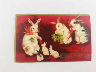 Vintage Easter Greetings Embossed Postcard Dinner Time Rabbits Bunny From 1910