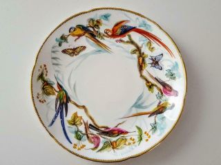 Antique 19th Century Coalport Exotic Bird Study Cabinet Plate - John Randall 1