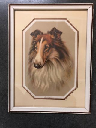 Vintage G B Fox Print “the Diplomat” Collie Dog Framed Print 10 X 13