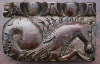 17th Century Carved Oak Panel Of A Hippocamphus