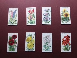 Old English Garden Flowers,  1st Series,  Issued 1910 By Wills Set 50