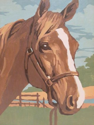 Vintage Paint By Number Horse Picture Completed Art Mid Century 8x10 Unframed