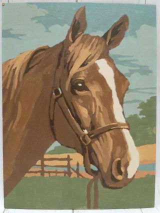 Vintage Paint By Number Horse Picture Completed Art Mid Century 8x10 Unframed 2