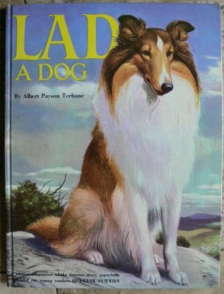 Vintage Grosset & Dunlap Book Lad A Dog By Albert Payson Terhune Great Large