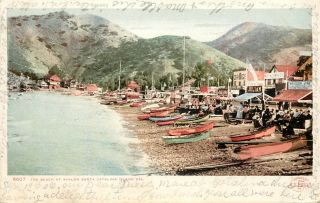 Vintage Postcard The Beach At Avalon Catalina Ca Canoes On The Shore 1906