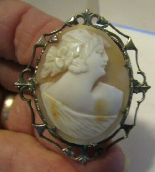 Vintage Shell Carved Cameo Of A Pretty Lady In Silvertone Frame