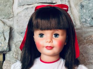 Ideal Patti Playpal 1960 Vintage 36 " Doll,  Brunette 3 Day