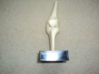 Geigy Vintage Medical Plastics Laboratory Functional Knee Joint Anatomical Model