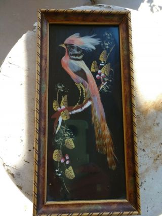 Vintage Bird Painting With Real feathers Frame Long tail 2