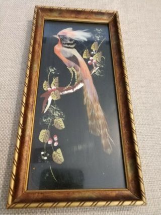 Vintage Bird Painting With Real feathers Frame Long tail 3