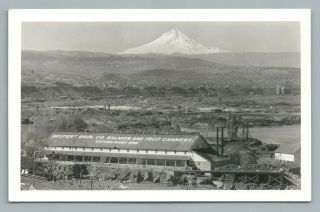 Seufert Bros.  Salmon & Fruit Cannery Rppc The Dalles Oregon—rare Vintage Photo