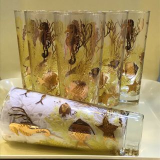 4 Vtg Gold Highball Iced Tea Glasses Gold Seahorse Star Fish Coral Culver