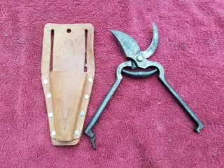 Vintage Pruning Shears 9 1/2 " Made In Italy W/rooster Sheath