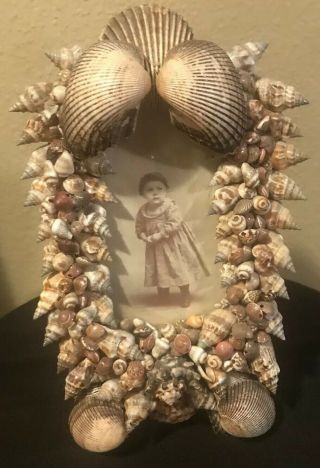 Antique Victorian Sea Shell Art Frame Of Sweet Child.