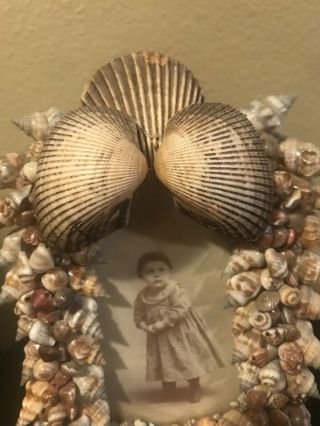 Antique Victorian Sea Shell Art Frame Of Sweet Child. 3