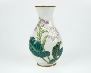 Antique 1900c Japanese Moriage Silver Wire Cloisonne Enamel Vase