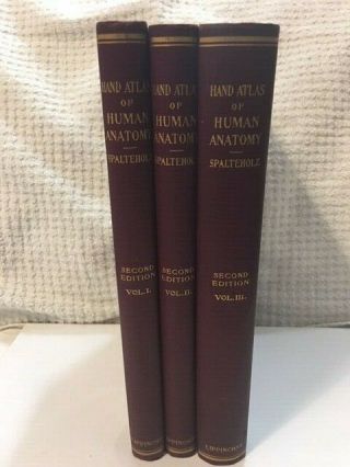 Hand Atlas Of Human Anatomy Antique Medical Book Set (3) Vol 2nd Ed Spalteholz