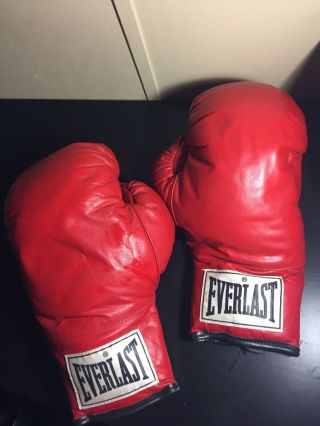 Vintage Everlast 16 Ounce Boxing Gloves