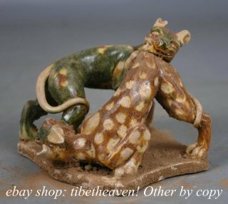 5.  2 " Old Chinese Tang Sancai Porcelain Dynasty Two Dog Fight Against Statue Na04