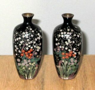 Very Fine True Pair Meiji Period Japanese Silver Wire Cloisonne Enamel Vases