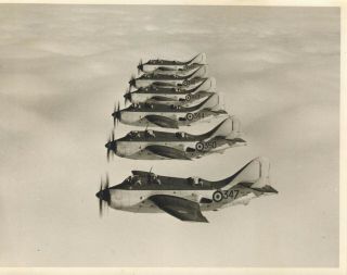 Large And Fine Photograph Of Six Fairey Gannets From No 826 Squadron