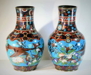 C1870,  Large Pair Antique Meiji Period Japanese Cloisonne Vases,  Eagle & Sparrow