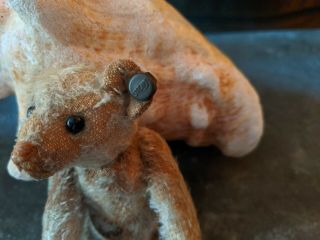 ANTIQUE STEIFF TEDDY BEAR 5” FF Button w/ Hump & Rattle Miniature Mohair 3