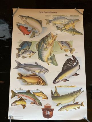 Vintage 1980’s Smokey Bear Poster Forest Fires Catch Fish Too 20”x30”