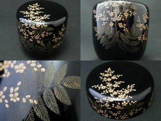Japanese Traditional Lacquer Wooden Tea Caddy Nandina Design Natsume (930)